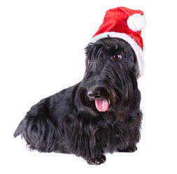 Similar image 5621000