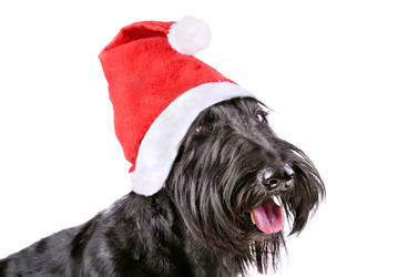 Similar image 5621002