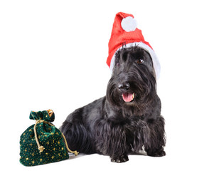 Similar image 5621003