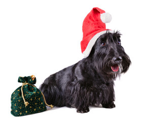 Similar image 5621010