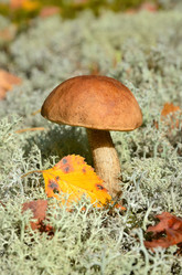 Similar image 5621011