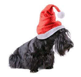 Similar image 5621012