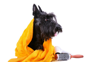 Similar image 5621014