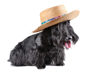 Similar image 5621022