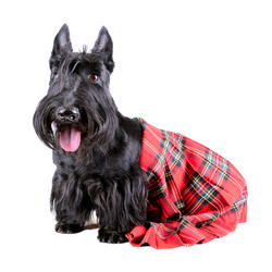 Similar image 5621024