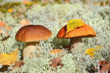 Similar image 5621027