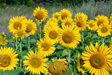 Similar image 5621137