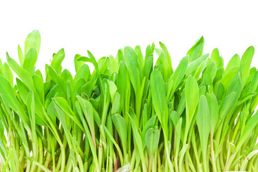 Similar image 5621141