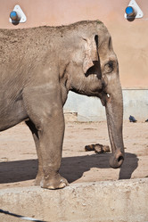 Similar image 5621142