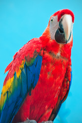 Similar image 5621158