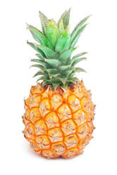 Similar image 5621166