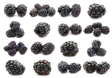 Similar image 5621174