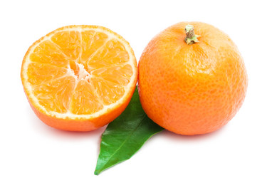 Similar image 5621194