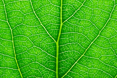 Similar image 5621218