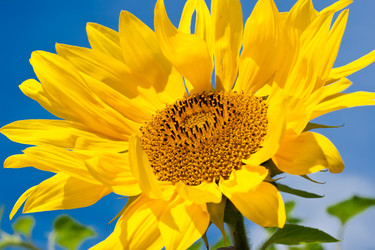 Similar image 5621250