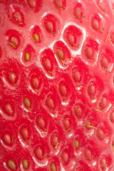 Similar image 5621251