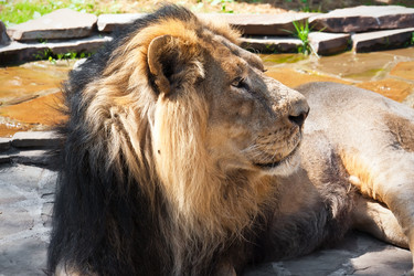 Similar image 5621264