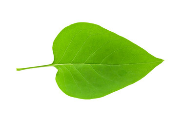 Similar image 5621271