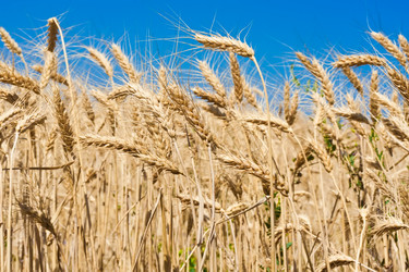 Similar image 5621272