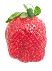 Similar image 5621296