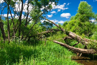 Similar image 5621306