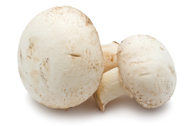 Similar image 5621323