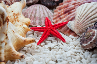 Similar image 5621328