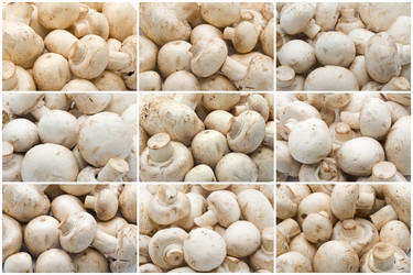 Similar image 5621339