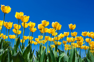 Similar image 5621347