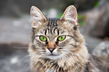 Similar image 5621390