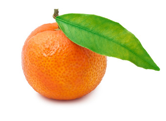 Similar image 5621401