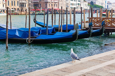 Similar image 5621412