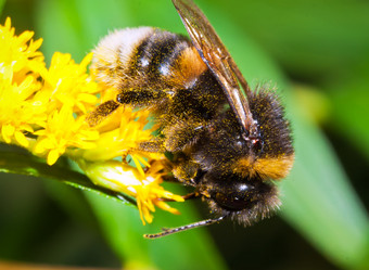 Similar image 5621441