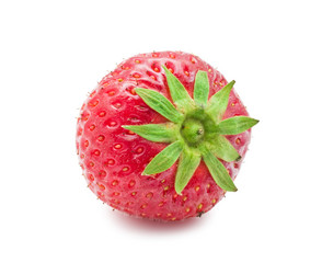 Similar image 5621442