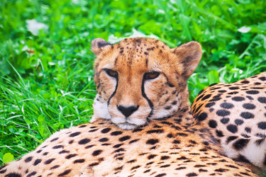 Similar image 5621459