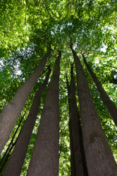 Similar image 5621461