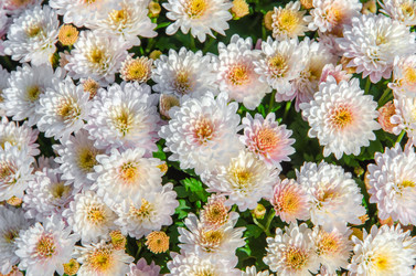 Similar image 5621669