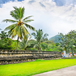 Similar image 5621864