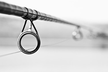 Similar image 5621925