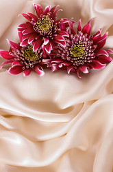 Similar image 5621989