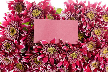 Similar image 5621992