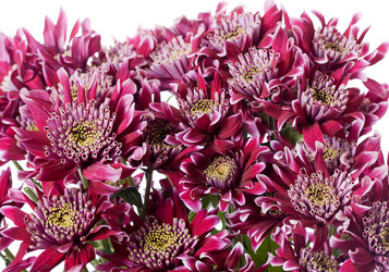 Similar image 5621997