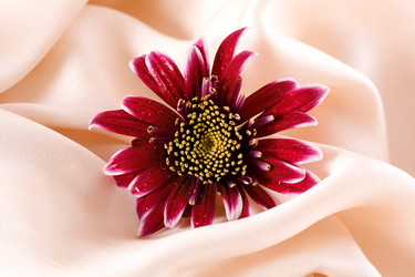 Similar image 5622004