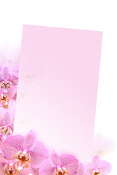 Similar image 5622557