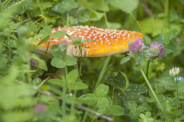 Similar image 5622565