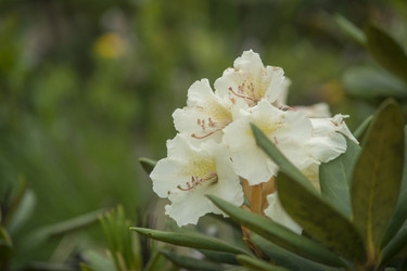 Similar image 5622568