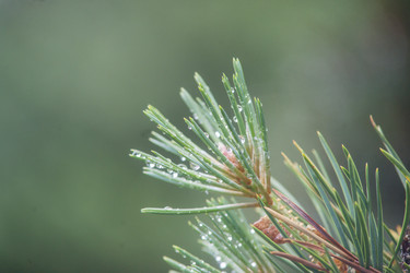 Similar image 5622572