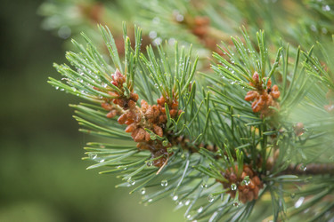 Similar image 5622573