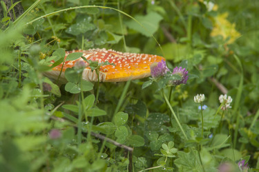 Similar image 5622578