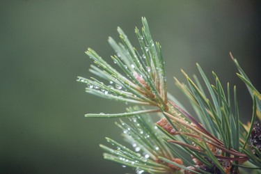 Similar image 5622580